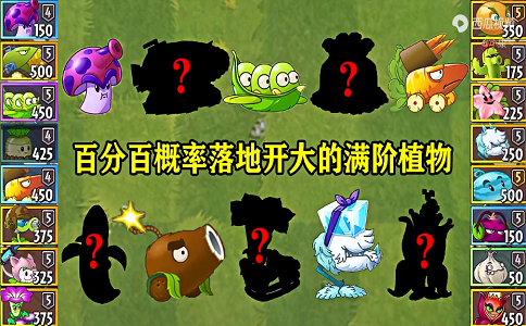 1662711188983038.png 植物大战僵尸2满阶植物 谁是你心目中的第一.png