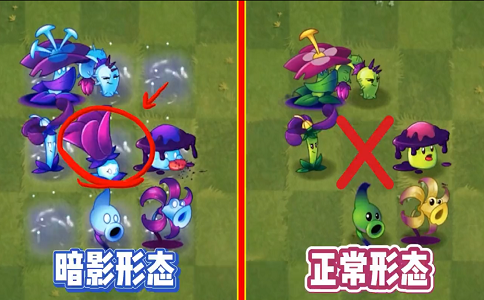1663571799110075.png 植物大战僵尸2 植物被暗影前后的差距有多大.png